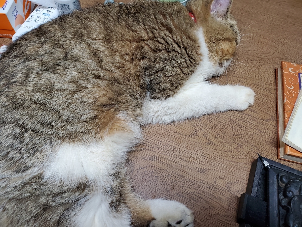 f:id:konjichoin:20201014205551j:plain