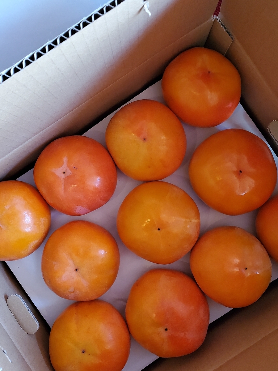 f:id:konjichoin:20201113105159j:plain