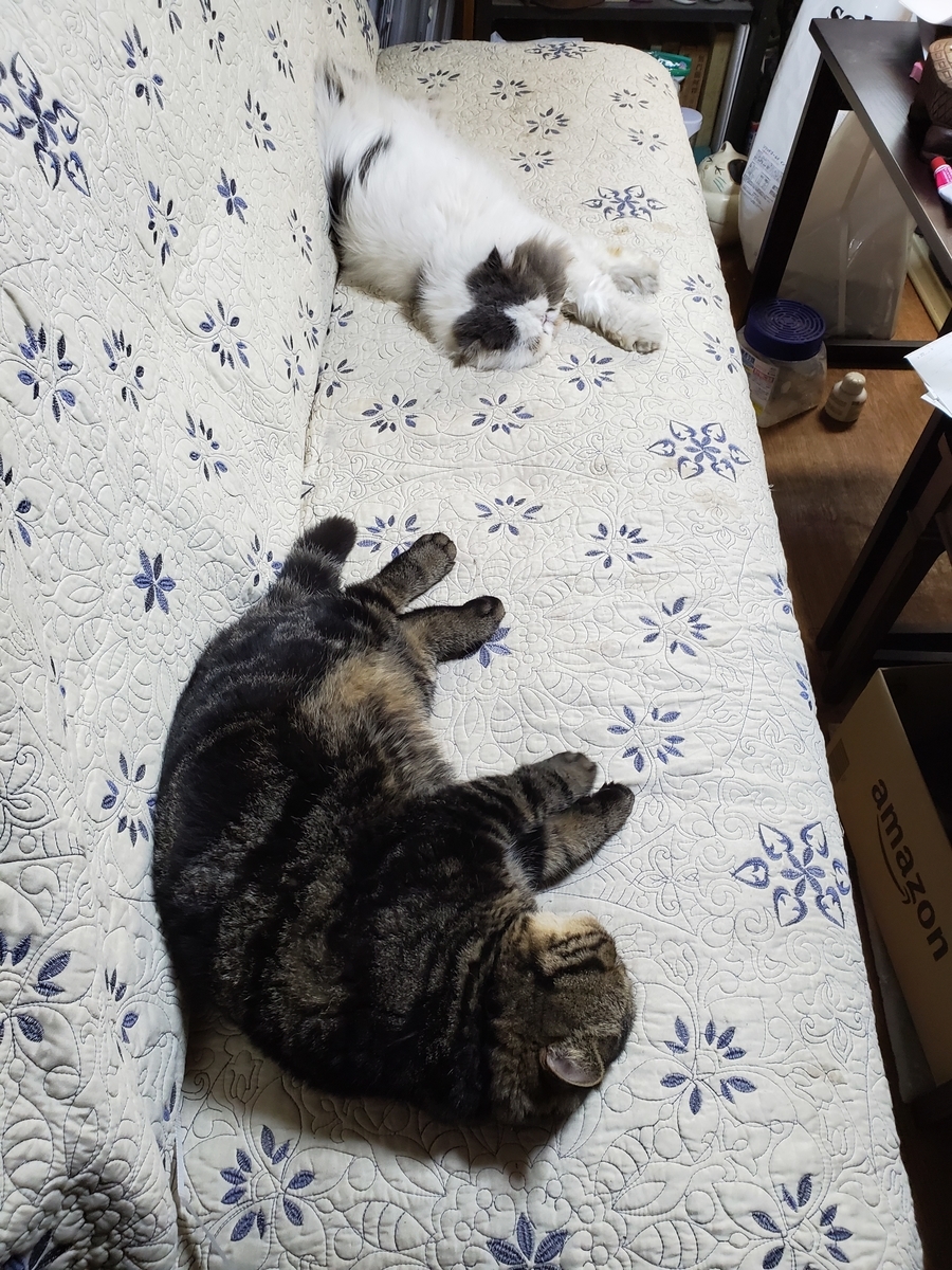 f:id:konjichoin:20201207192222j:plain