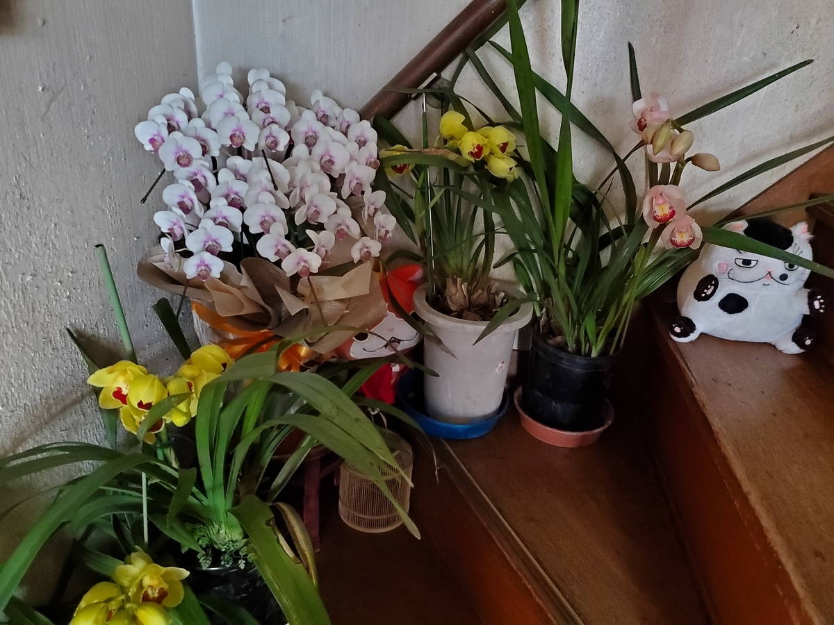 f:id:konjichoin:20210121163812j:plain