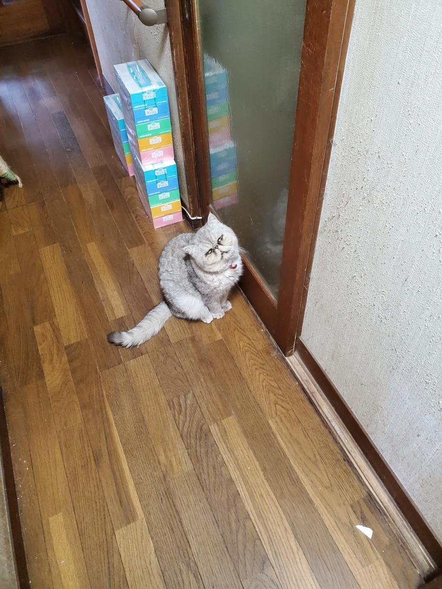 f:id:konjichoin:20210318073410j:plain