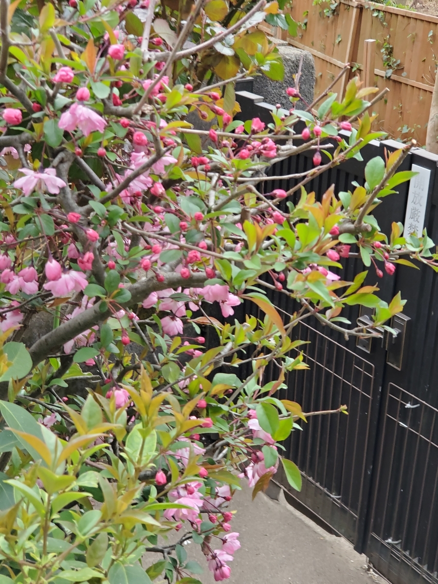 f:id:konjichoin:20210323195745j:plain