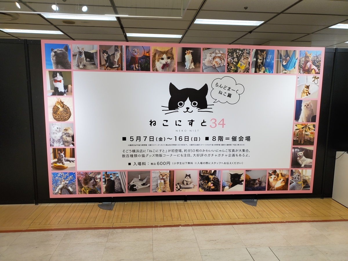 f:id:konjichoin:20210511210117j:plain