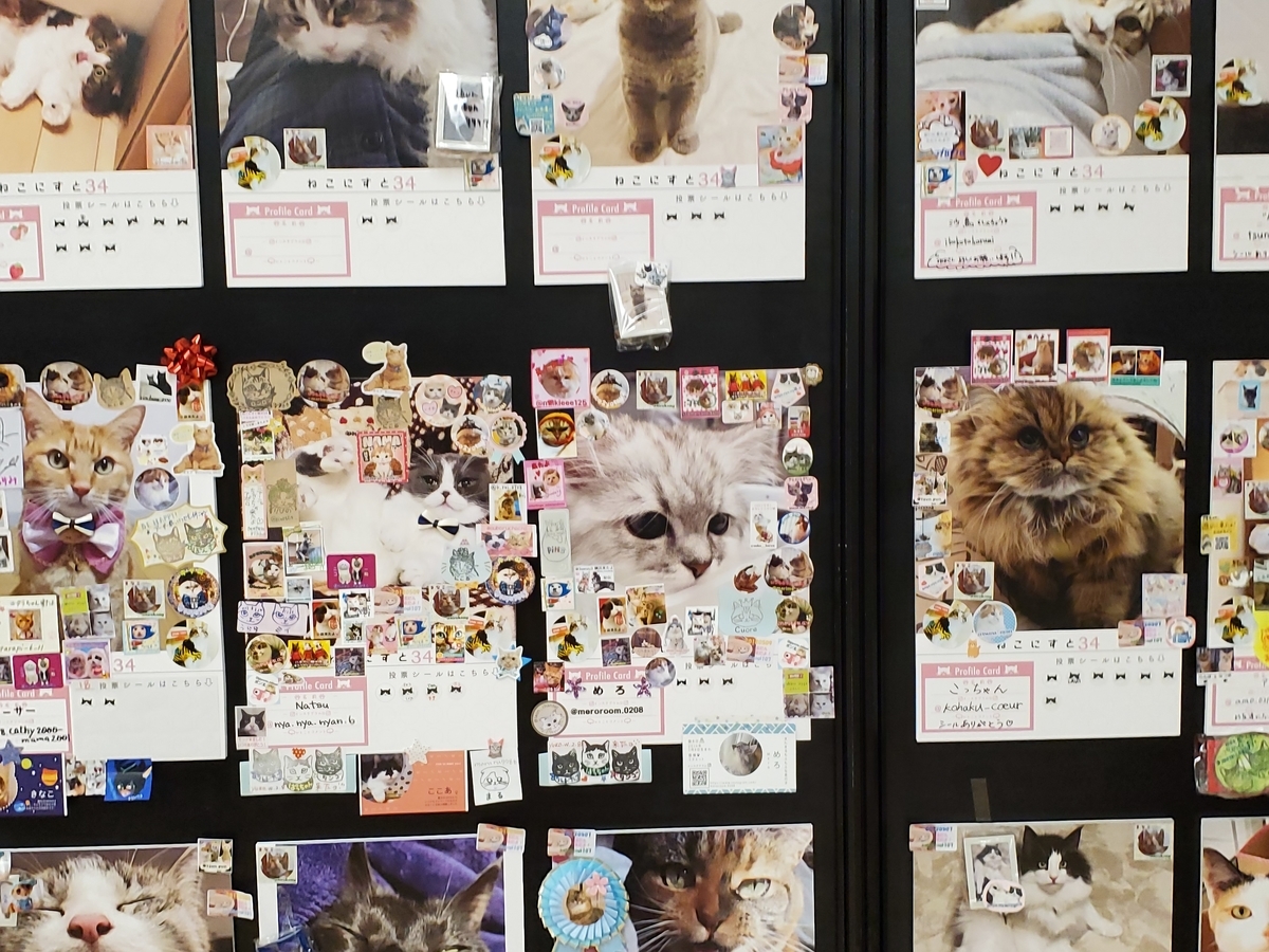 f:id:konjichoin:20210511210249j:plain