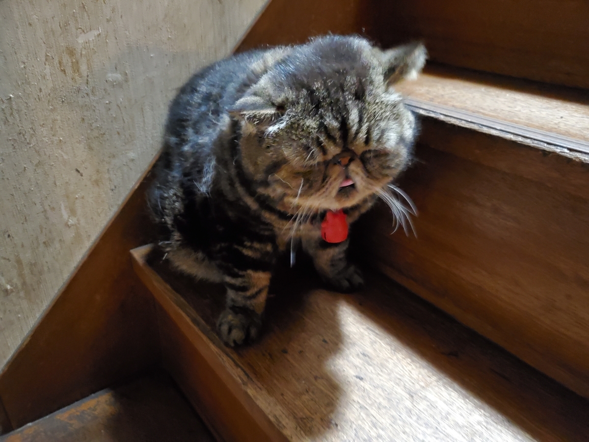 f:id:konjichoin:20210611031527j:plain