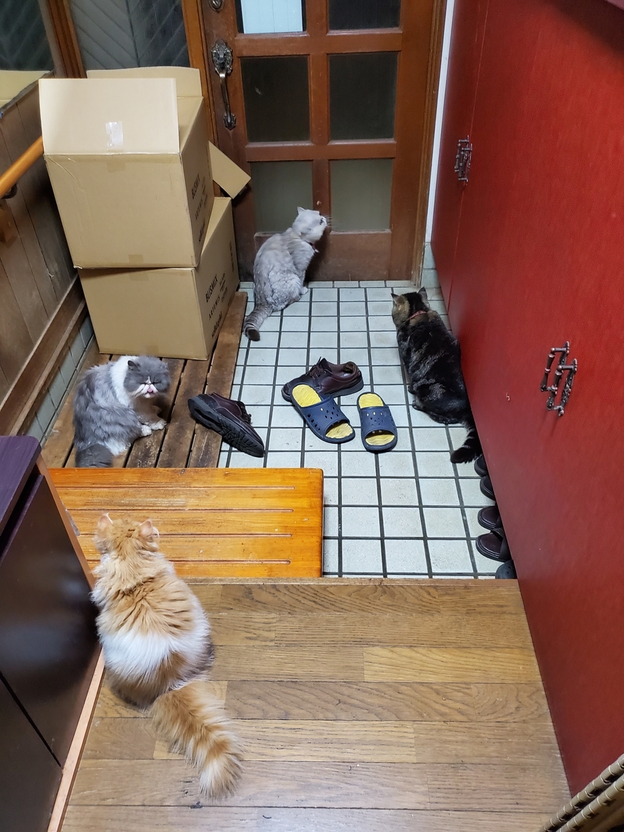 f:id:konjichoin:20210611031658j:plain