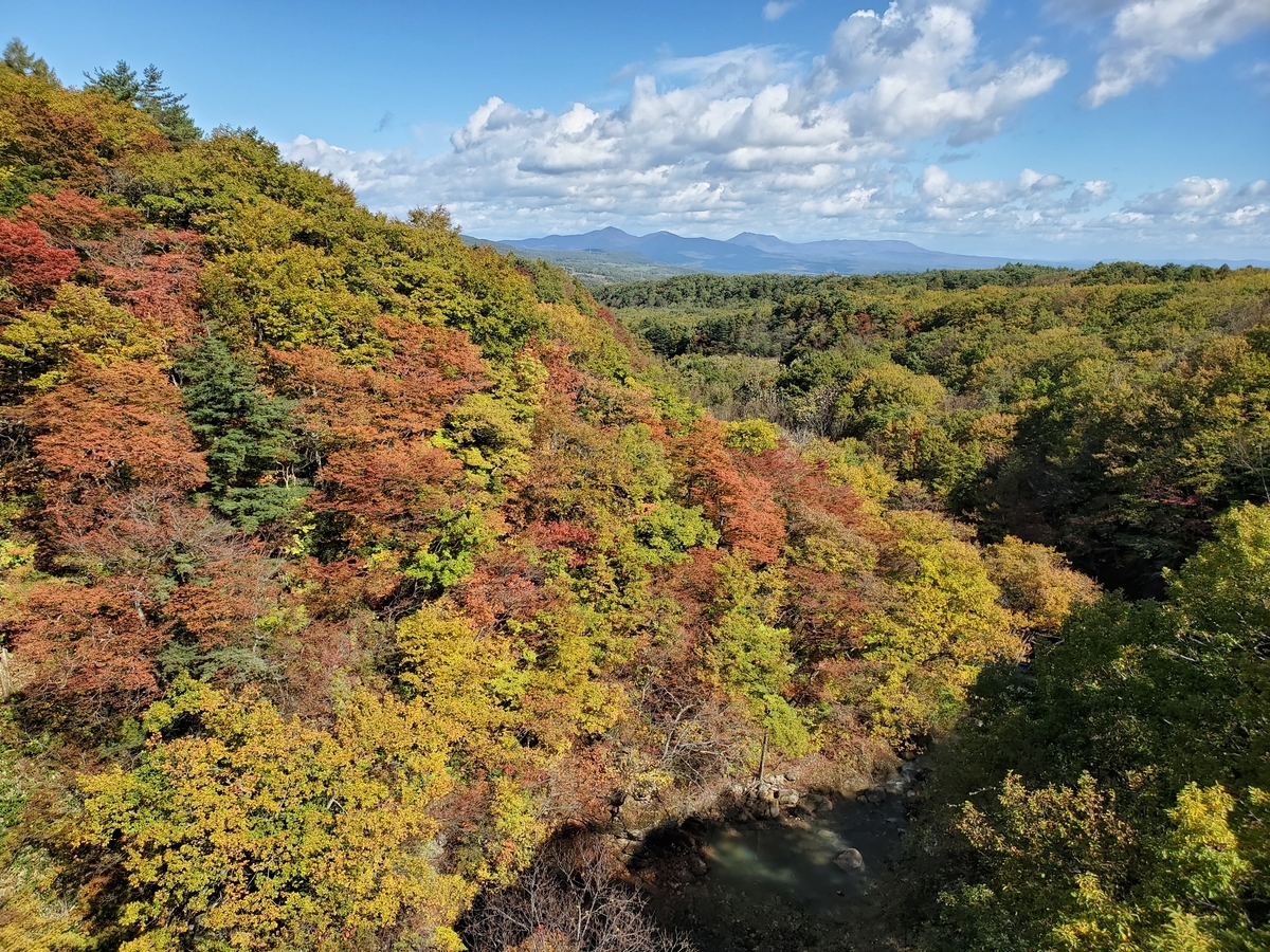 f:id:konjichoin:20211021220142j:plain