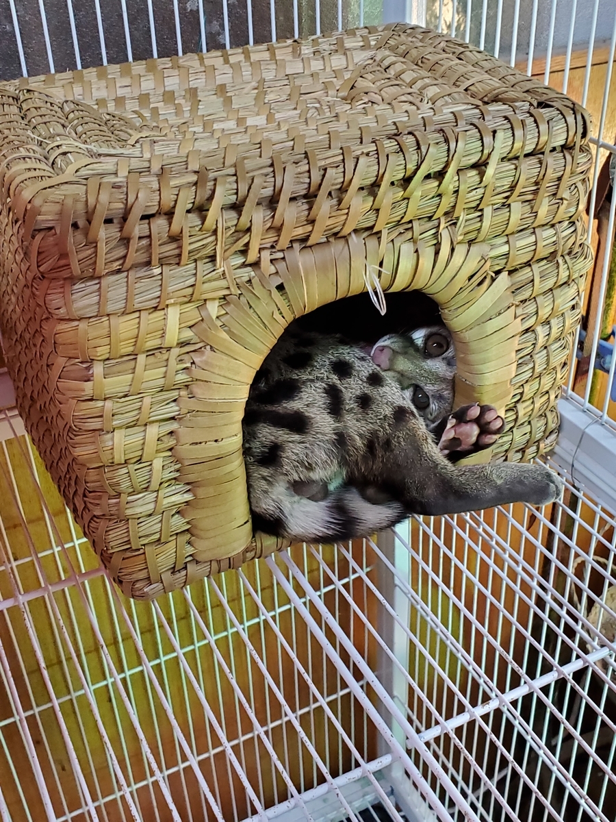 f:id:konjichoin:20211231162027j:plain