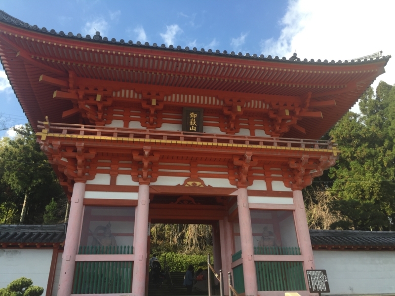 f:id:konkonodekake:20171123201306j:plain f:id:konkonodekake:20171123201306j:plain