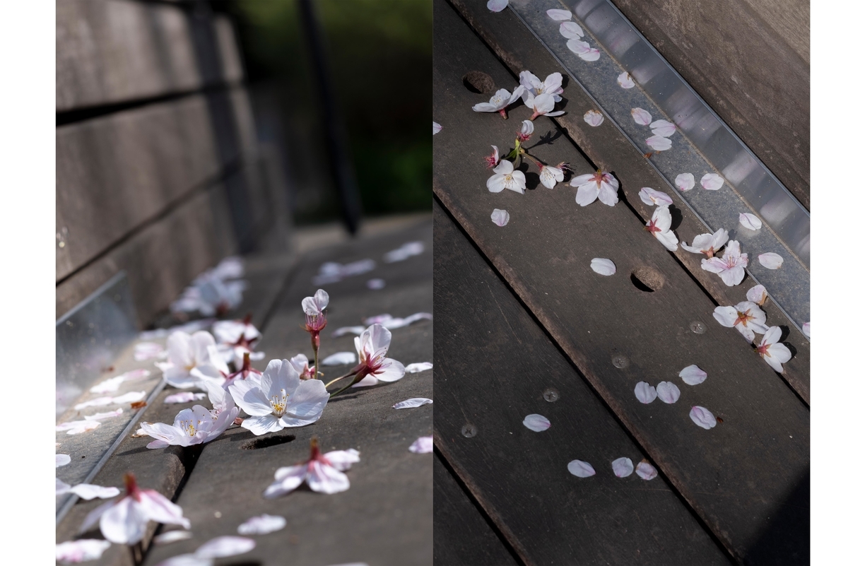 f:id:konkonsakura2992:20190425031757j:plain f:id:konkonsakura2992:20190425031757j:plain