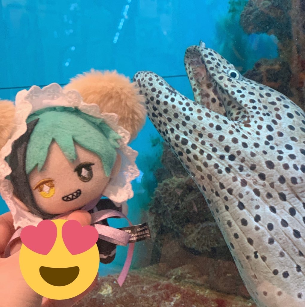 うつぼ Sleep うつぼ Sleep