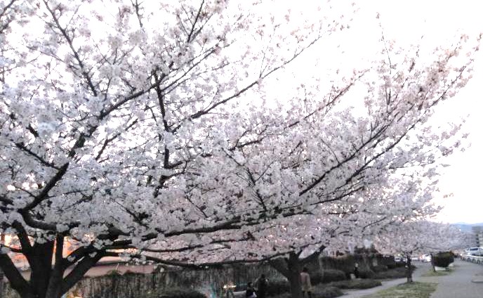 f:id:konma08:20180328062300j:plain f:id:konma08:20180328062300j:plain