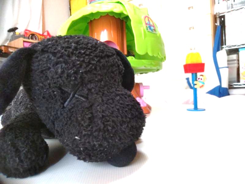 f:id:konma08:20180804192807j:plain