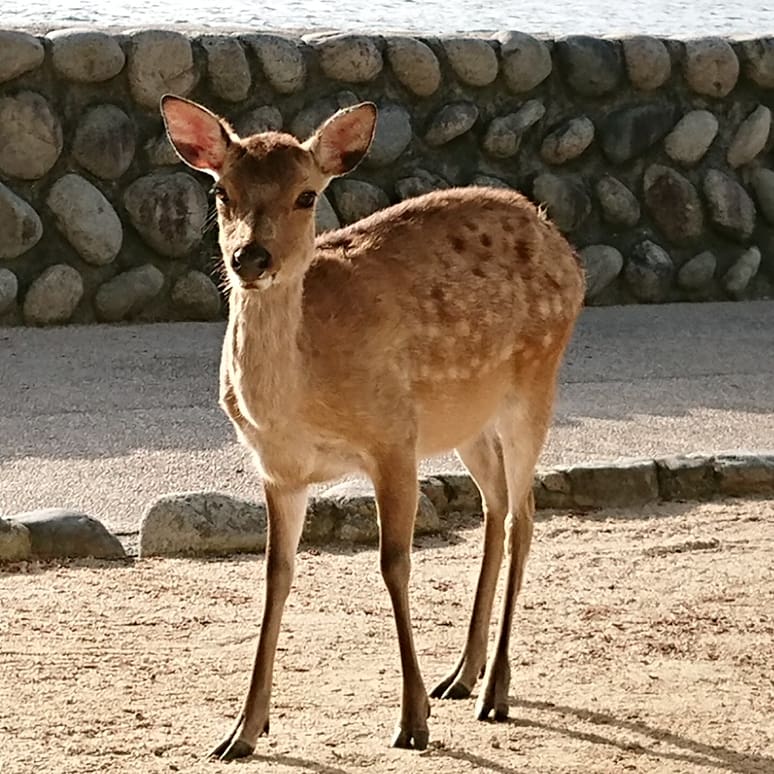 イメージ 3