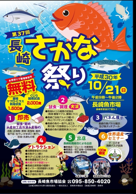 イメージ 6