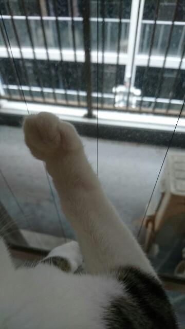 f:id:konnezu:20220106152909j:plain