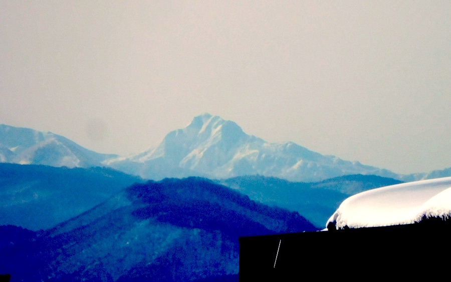 f:id:konno_sendai:20220123221146j:plain