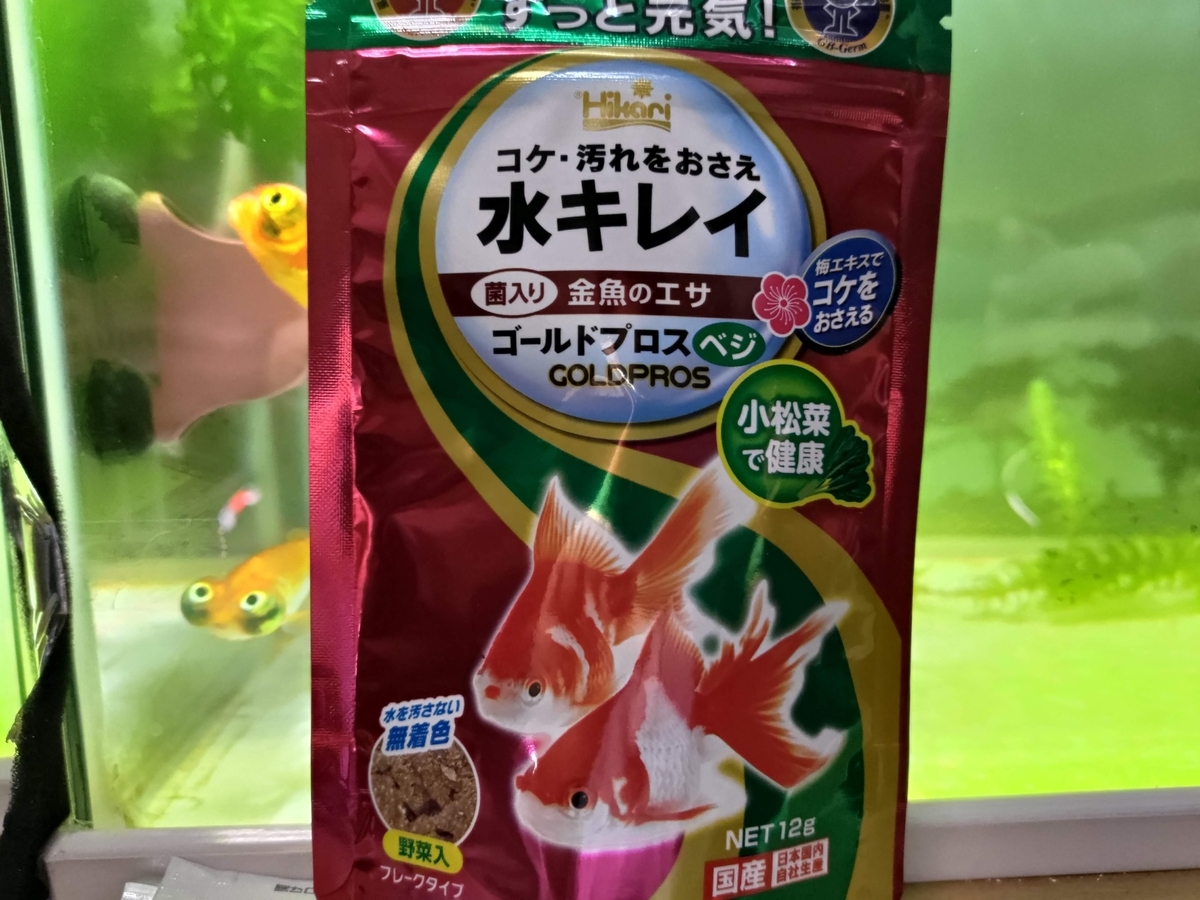 頂天眼の餌をフレークタイプに 金魚めんこ