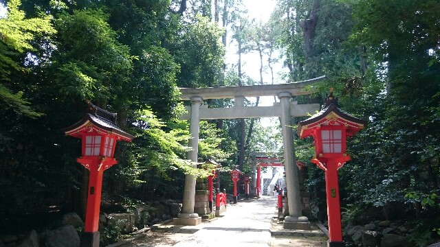 f:id:konnoumi:20180627094252j:image f:id:konnoumi:20180627094252j:image