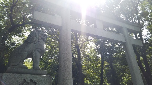 f:id:konnoumi:20180823224708j:image
