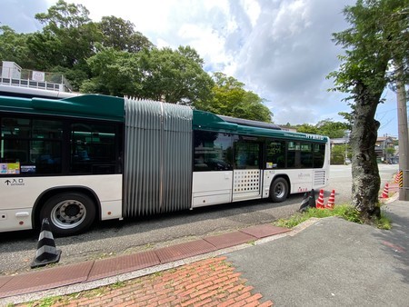 f:id:konnyaku_d:20210625120928j:plain