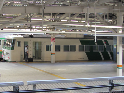 湘南ライナー（185系斜めストライプ）＠東京駅（2011/08/24）