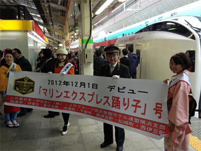 マリンエクスプレス踊り子（E259系Ne008編成）＠東京駅（2012/12/01）