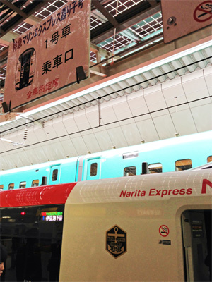 マリンエクスプレス踊り子（E259系Ne008編成）＠東京駅（2012/12/01）