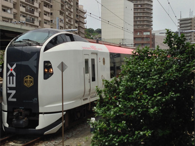 マリンエクスプレス踊り子号（E257系）＠横須賀駅