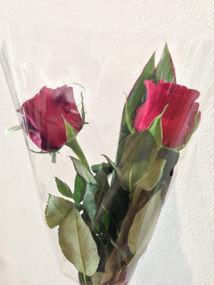 f:id:kono1:20130915063111j:image f:id:kono1:20130915063111j:image