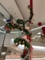 イシバシプラザのクリスマスツリー（沼津）