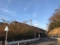 京急1000形みうら夜桜号@三浦海岸駅付近