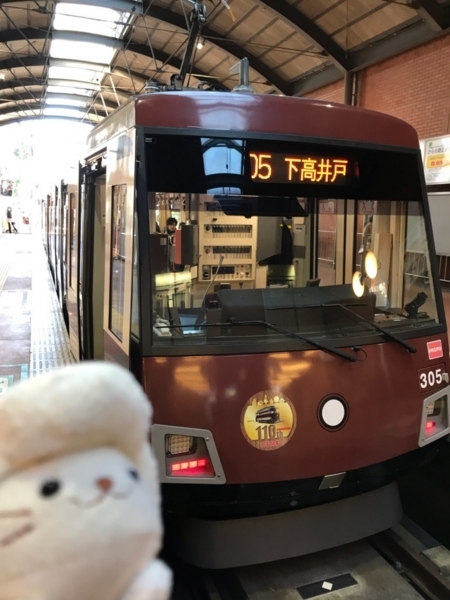 東急世田谷線300系305F(旧車体色ラッピング電車)＠三軒茶屋駅