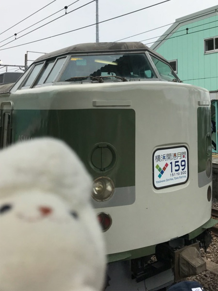 Y159記念列車(189系N102編成)＠根府川駅(2018/05/26)