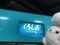 特急くろしお21号(283系)＠新大阪駅(2019/04/29)