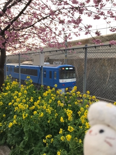f:id:kono1:20200215223151j:plain f:id:kono1:20200215223151j:plain