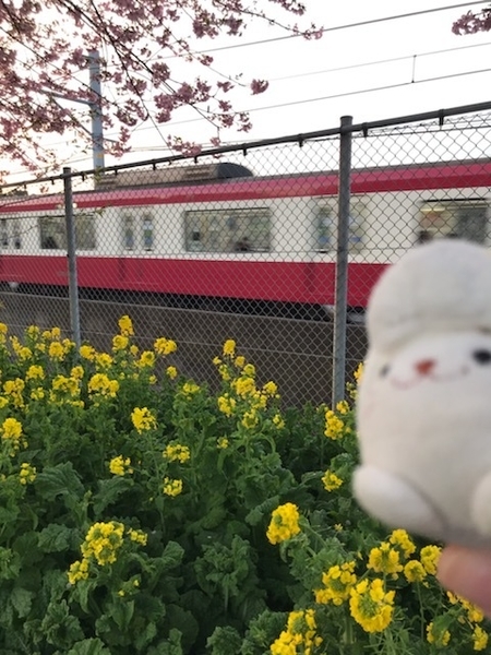 f:id:kono1:20200215223222j:plain f:id:kono1:20200215223222j:plain