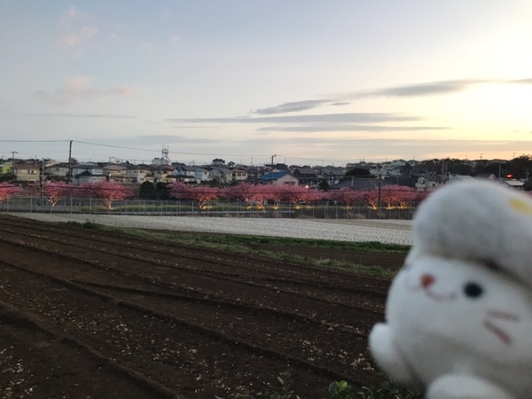 f:id:kono1:20200222162305j:plain f:id:kono1:20200222162305j:plain