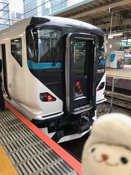 特急踊り子15号(E257系NA-13編成)＠東京駅