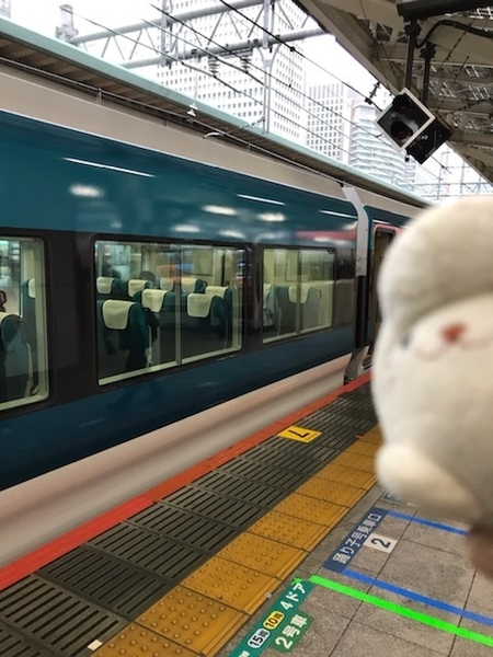 特急踊り子15号(E257系NA-13編成)＠東京駅