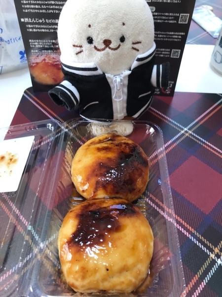f:id:kono1:20220129205857j:plain