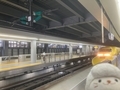 ドクターイエロー（T5編成）＠品川駅