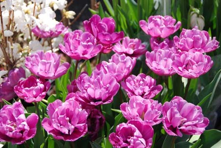 f:id:kono3478:20080322122136j:image f:id:kono3478:20080322122136j:image