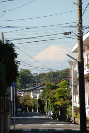 f:id:kono3478:20081113102947j:image f:id:kono3478:20081113102947j:image