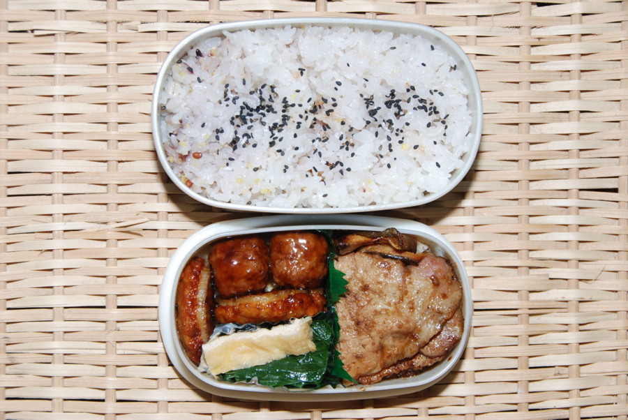 f:id:kono3478:20090501073024j:image f:id:kono3478:20090501073024j:image