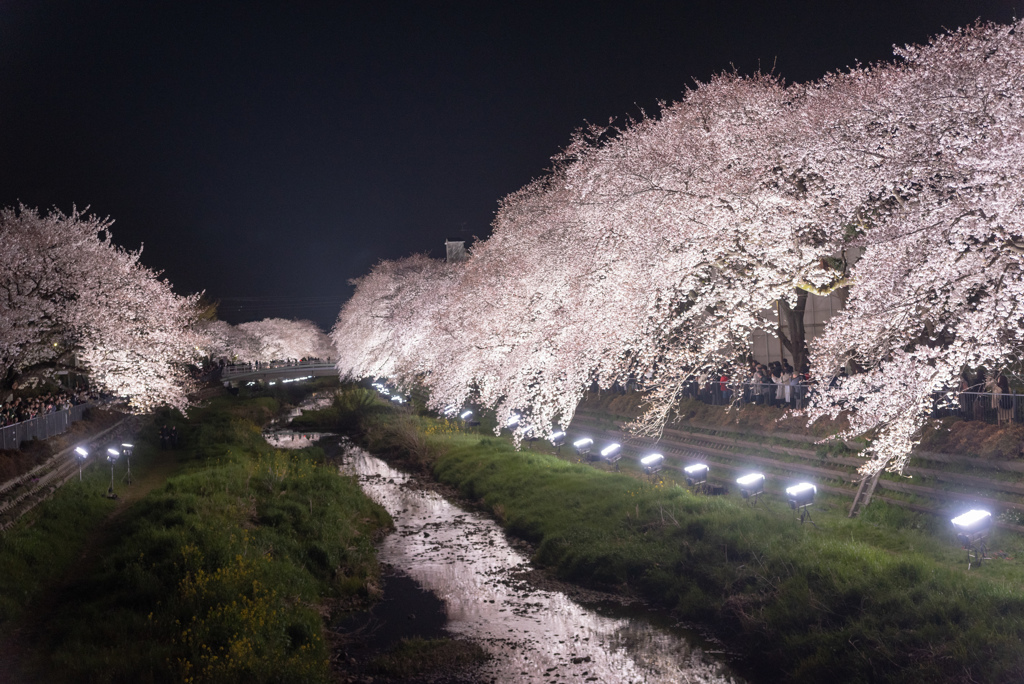 f:id:kono3478:20190529215559j:plain f:id:kono3478:20190529215559j:plain
