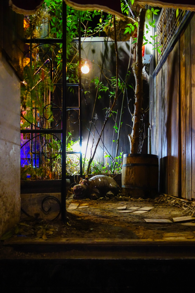 １６８ 杉並区高円寺 エセルの中庭 Shooting Tokyo