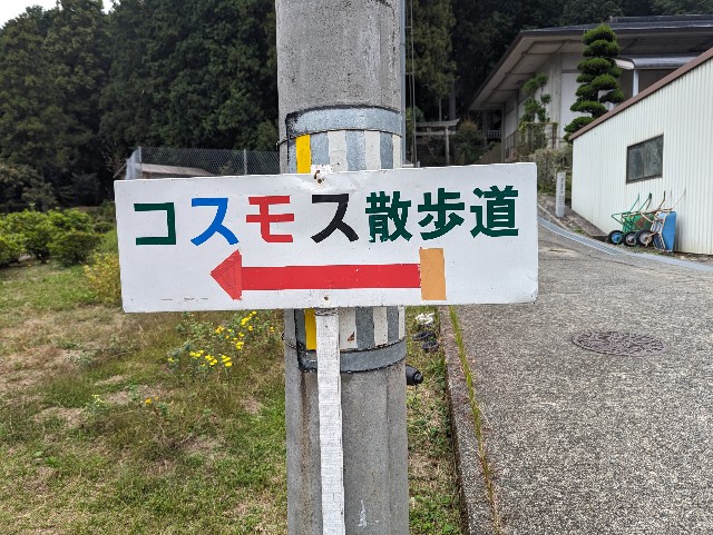 f:id:konoiro:20231023220252j:image f:id:konoiro:20231023220252j:image