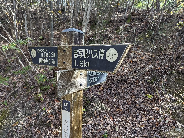 f:id:konoiro:20231210225720j:image f:id:konoiro:20231210225720j:image