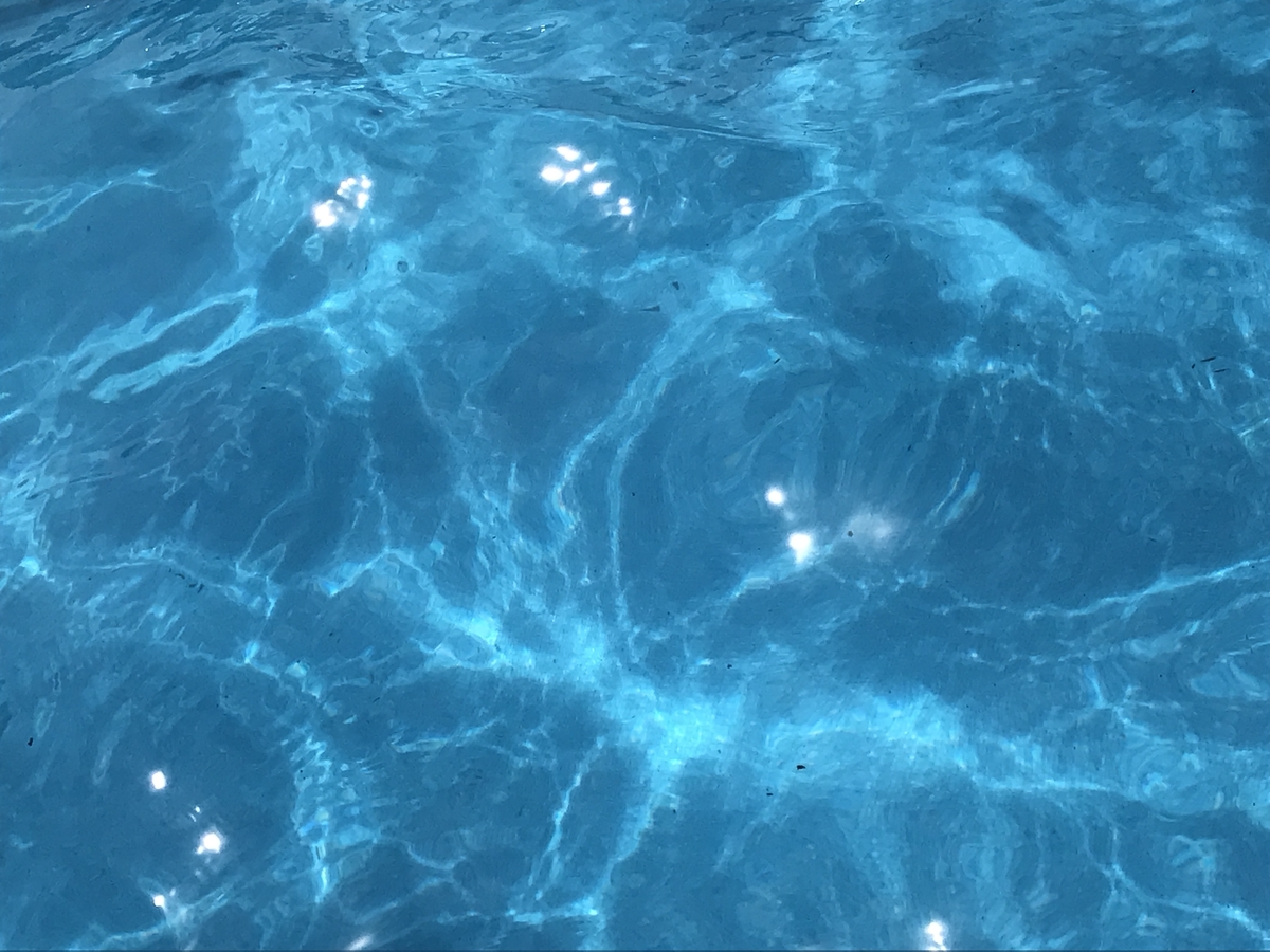 f:id:konokota:20190921063951j:plain